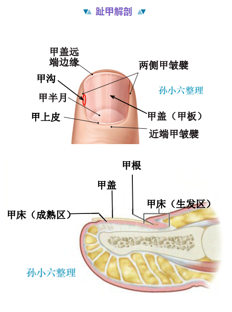1712539402183968.png image.png