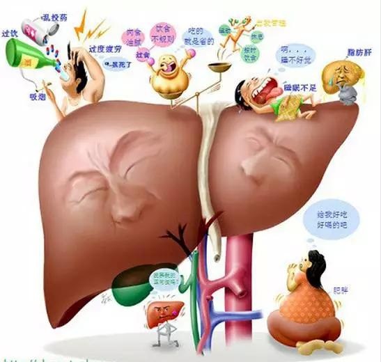 微信图片_20240701102404.png
