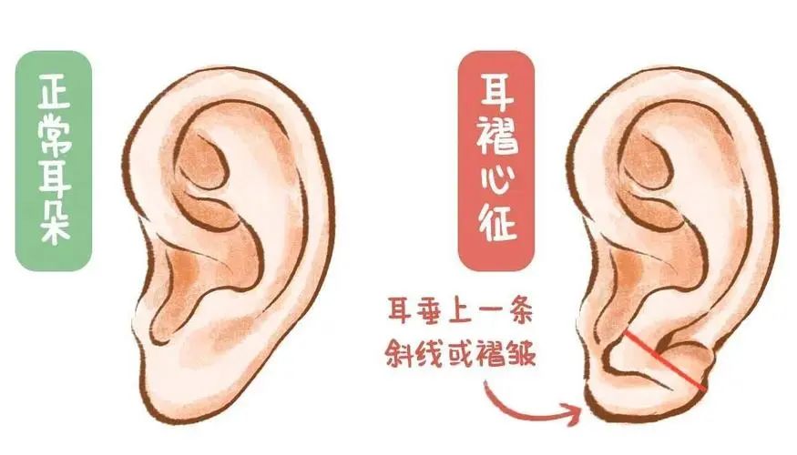 微信图片_20240930095708.jpg