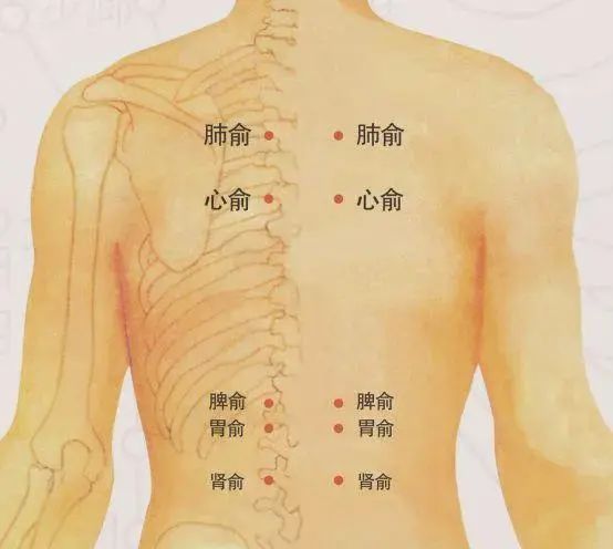 微信图片_20240930095753.jpg