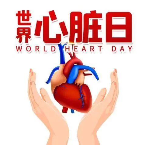 微信图片_20240930095845.jpg