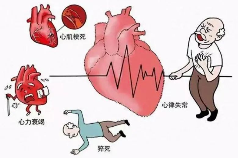 微信图片_20241115094256.jpg
