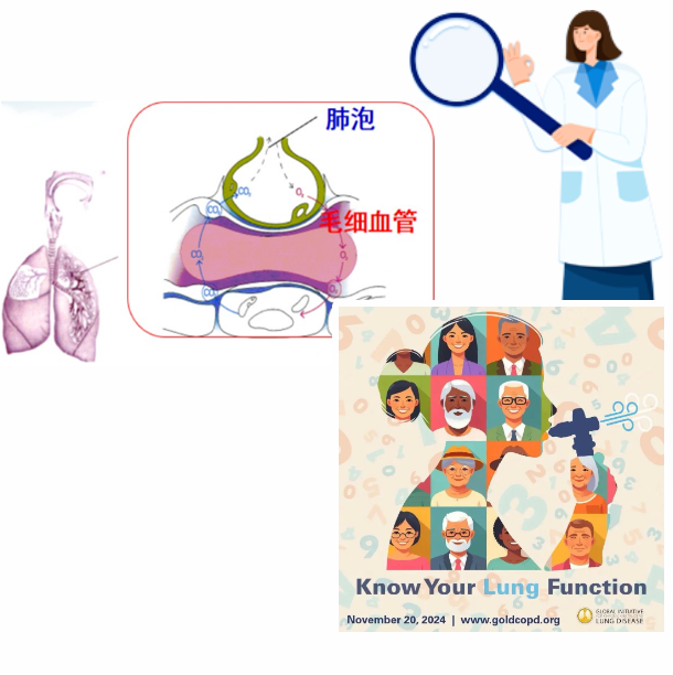 微信图片_20241125091609.png