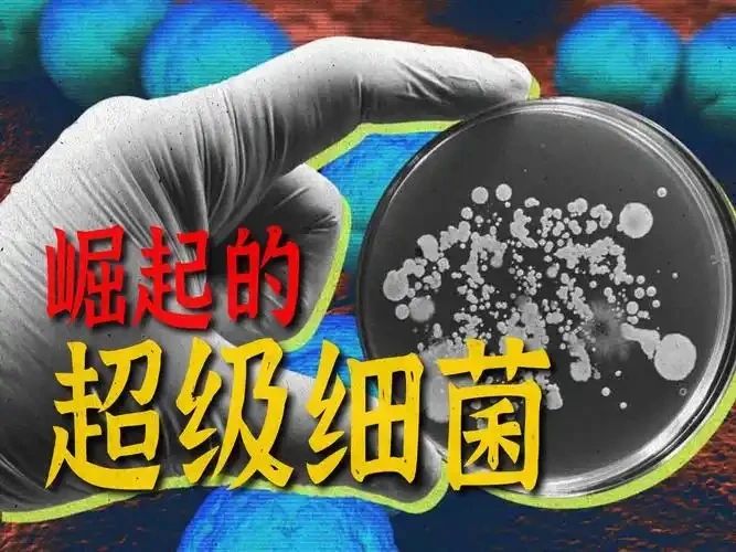 微信图片_20241125154357.jpg