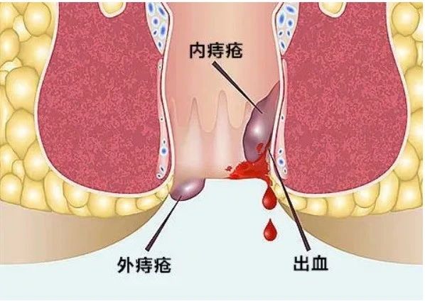 微信图片_20241203153246.jpg