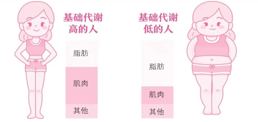 微信图片_20250303172016.png