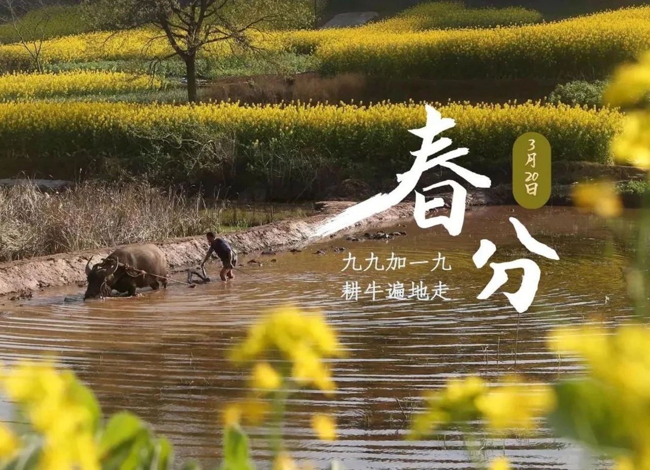 微信图片_20250417151923.jpg