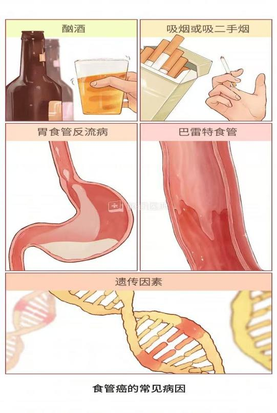 微信图片_20250421145619.png